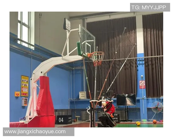 科学篮球力量训练的有效方法与技巧探讨